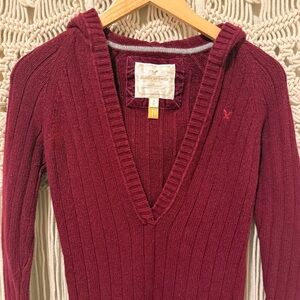 American Eagle Outfitters Burgundy V-Neck Sweater